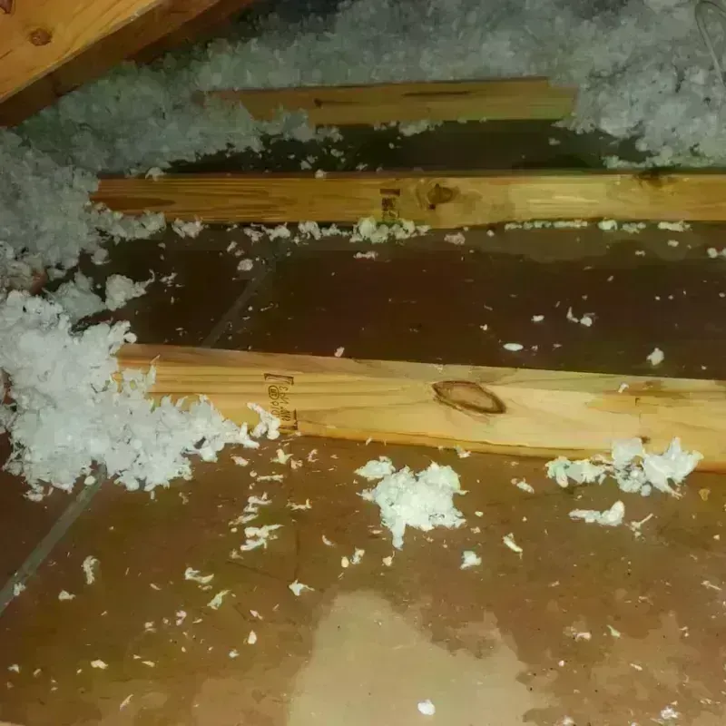 Attic Water Damage in La Marque, TX